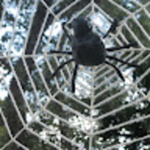 Meet your Posher, Stephen